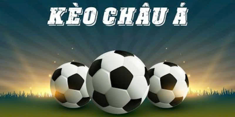 Nên cược tỷ lệ Châu Á tại những nhà cái uy tín như 77win